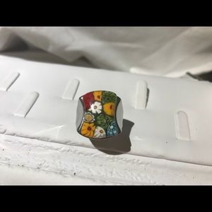 Beautiful ring colors of nature